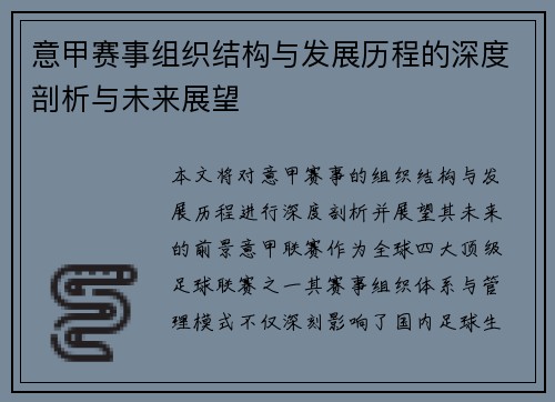 意甲赛事组织结构与发展历程的深度剖析与未来展望