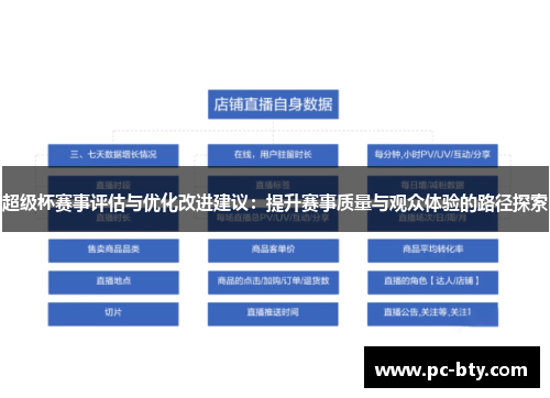 超级杯赛事评估与优化改进建议：提升赛事质量与观众体验的路径探索