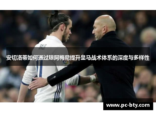 安切洛蒂如何通过琼阿梅尼提升皇马战术体系的深度与多样性