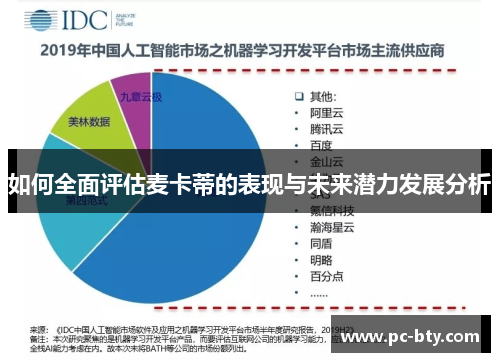 如何全面评估麦卡蒂的表现与未来潜力发展分析
