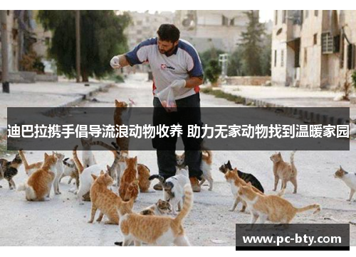 迪巴拉携手倡导流浪动物收养 助力无家动物找到温暖家园
