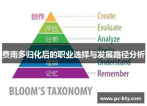 费南多归化后的职业选择与发展路径分析