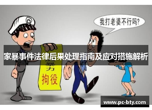 家暴事件法律后果处理指南及应对措施解析