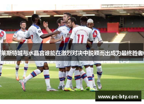 莱斯特城与水晶宫谁能在激烈对决中脱颖而出成为最终胜者