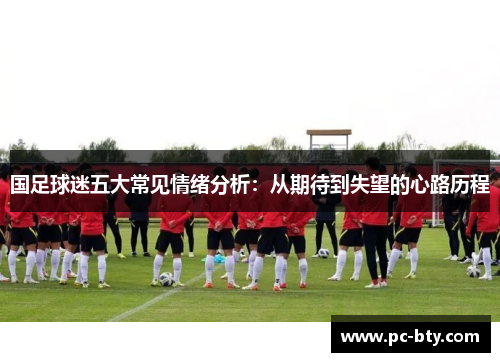 国足球迷五大常见情绪分析：从期待到失望的心路历程