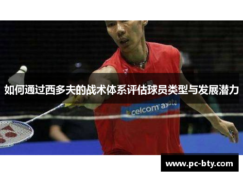 如何通过西多夫的战术体系评估球员类型与发展潜力