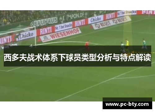 西多夫战术体系下球员类型分析与特点解读