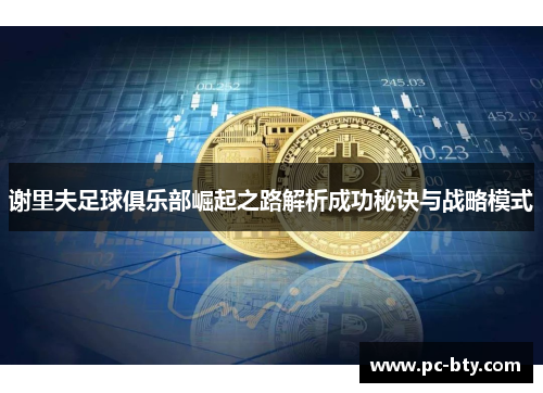 谢里夫足球俱乐部崛起之路解析成功秘诀与战略模式