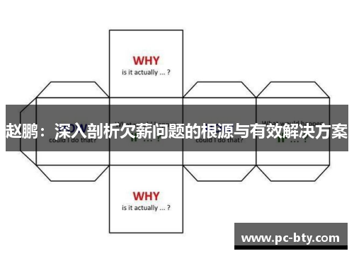 赵鹏:深入剖析欠薪问题的根源与有效解决方案 赵鹏:深入剖析欠薪问题的根源与有效解决方案