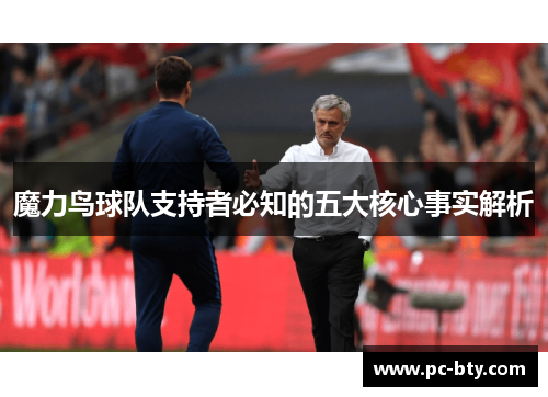 魔力鸟球队支持者必知的五大核心事实解析
