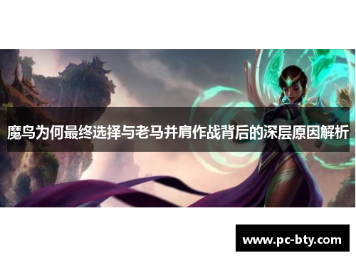 魔鸟为何最终选择与老马并肩作战背后的深层原因解析