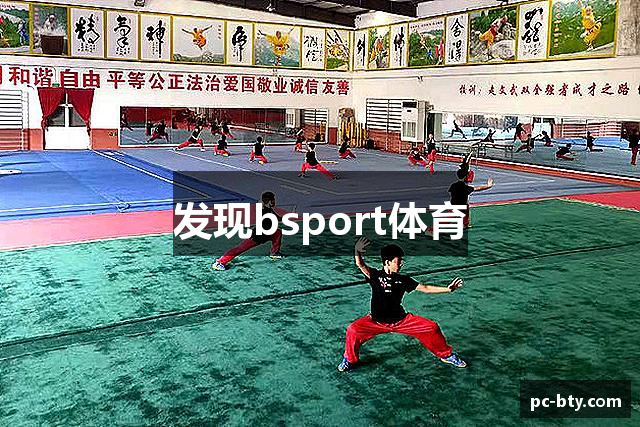 发现bsport体育